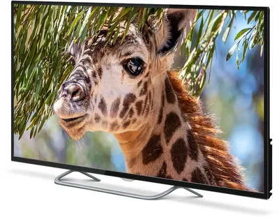 Телевизор LED PolarLine 55" 55PU11TC-SM черный 4K Ultra HD 60Hz DVB-T DVB-T2 DVB-C DVB-S2 USB WiFi Smart TV (RUS)