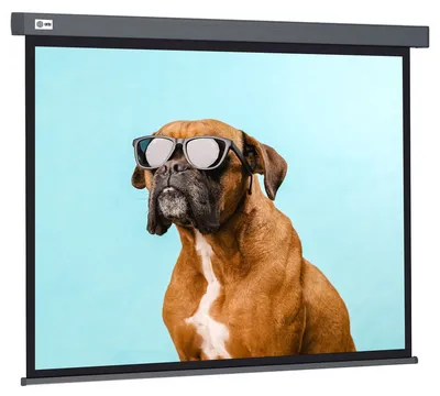 Экран проекционный Cactus CS-PSW-149X265-SG, 120", 16:9, рулонный