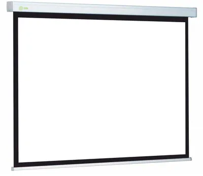 Экран Cactus CS-PSW-206X274, настенно-потолочный, 284×217 см, 16:9
