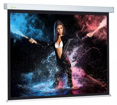 Экран настенно-потолочный CACTUS - Wallscreen PSW, 310x200 см, (рабочая поверхность 299x168 см), 16:9, ручное управление, CS-PSW-168X299