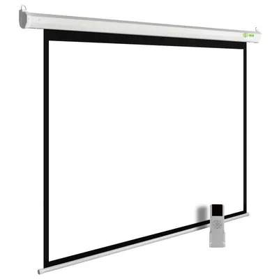 Экран проекционный Cactus CS-PSME-300X225-WT, 225×300 см, 4:3, моторизованный