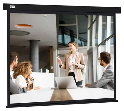 <108388> Экран для проектора Cactus 168x299см Wallscreen CS-PSW-168X299-BK 16:9 настенно-потолочный рулонный черный [CS-PSW-168X299-BK]