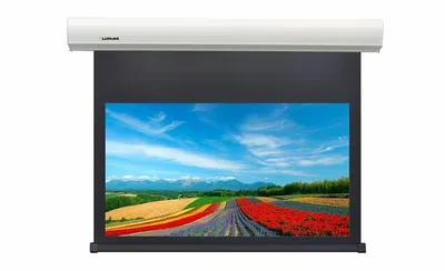 185x272 Lumien [Cinema Control] 185x272 см (раб.область 148х264 см) (119") Matte White FiberGlass черн. кайма по периметру, [LCC-100114]