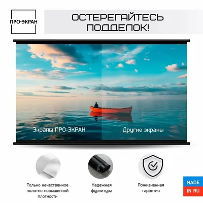 Экран проекционный ПРО-ЭКРАН 169220124-0366, 100", 16:9, 220×124 см, ручной