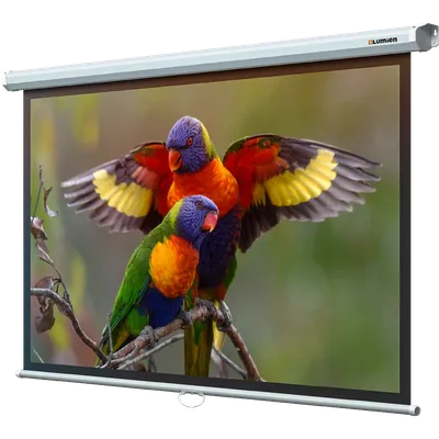 Lumien Eco Picture [LEP-100113] Настенный экран  153х203см (рабочая область 147х197 см) Matte White восьмигранный корпус, возможность потолочн./настенного крепления, уровень в комплекте, 4:3 (треуголь