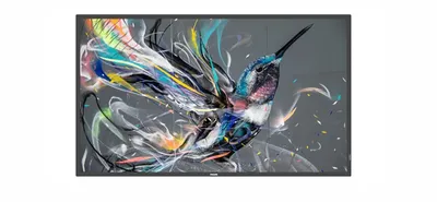 Профессиональный дисплей Philips 75BDL3511Q/00, 75", 4K UHD, 18/7