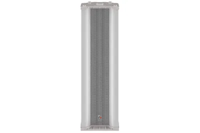 Колонка Roxton CS-830T, 30 Вт, настенная, всепогодная