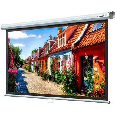 Экран проекционный Lumien LEP-100117, 88", 16:9, настенный, Matte White
