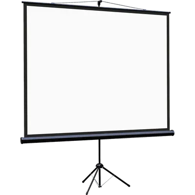 (Поврежденная упаковка) Экран на штативе Lumien Eco View 183x244см (раб.область175х236 см) Matte White с возможностью настенного крепления 4:3