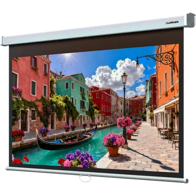Экран настенный Lumien LEP-100120, 198×300см, Matte White