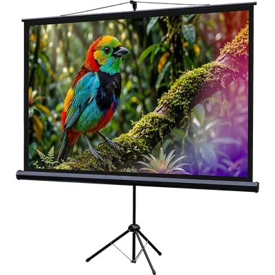 Экран проекционный Lumien LEV-100114, 115×200см, 84", Matte White, на штативе