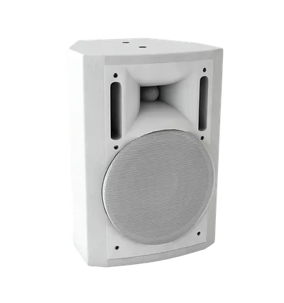 Громкоговоритель настенный Sonar SWM-30W
