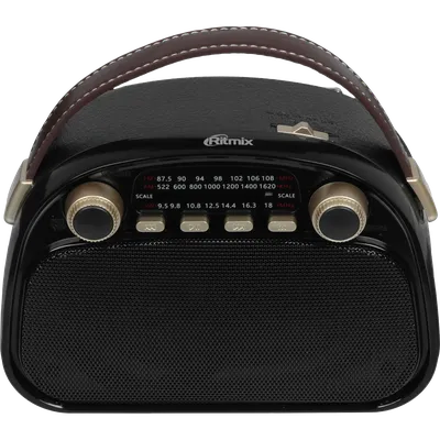 Радиоприёмник портативный/ RITMIX RPR-040 Чёрный