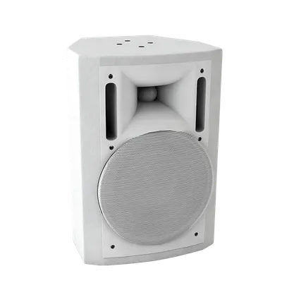 Громкоговоритель настенный Sonar SWM-60W
