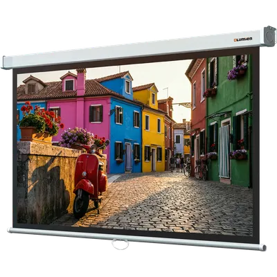 Настенный экран Lumien Eco Picture 190х300 см (рабочая область 182х292 см) Matte White восьмигранный корпус, возможность потолочн./настенного крепления, уровень в комплекте, 16:10 (треугольная упаковка)