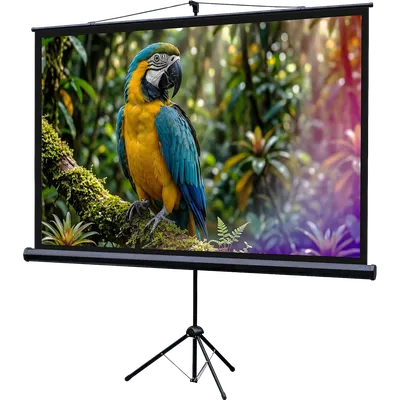 Экран на штативе Lumien LEV-100113, 84", Matte White, 16:9
