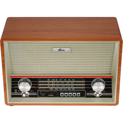 Радиоприёмник портативный/ RITMIX RPR-102 Бук