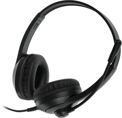 Наушники накладные с микрофоном A4TECH Fstyler FH100U черный (проводные, кабель 2м, USB) (FH100U (STONE BLACK))