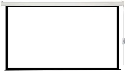 Экран с электроприводом Lumien LEC-100111, 123", Matte White, 16:9