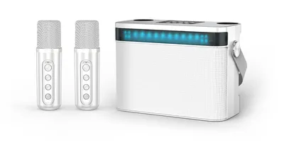 Колонка iconBIT TRS2403, K902W, 10Вт, Bluetooth, 2 микрофона