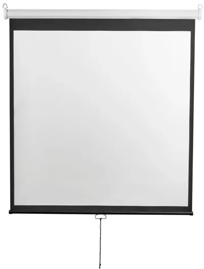 Экран настенно-потолочный Digis - Optimal-D, 248x142 см, (рабочая поверхность 240x135 см), 16:9, ручное управление, DSOD-16905