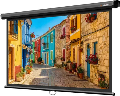 Экран Lumien LEP-100129 Eco Picture, 137×192см, Matte White, 16:9, настенный