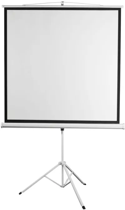 Экран на штативе Digis DSKD-4304 (Kontur-D, формат 4:3, 120", 248x190, рабочая поверхность 240x180, MW)