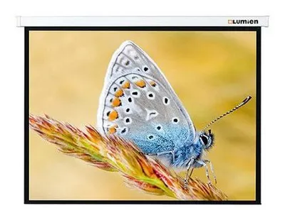 Экран Lumien LMC-100110, 146" 4:3, с электроприводом, 229x305см