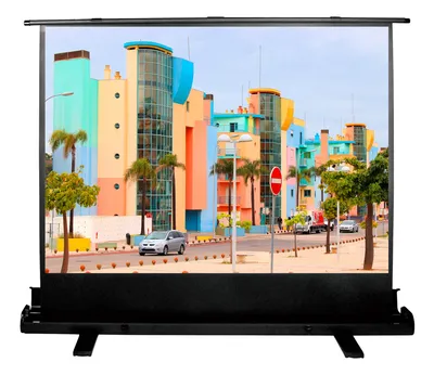 <108390> Экран для проектора Cactus 120x160см FloorExpert CS-PSFLE-160X120 4:3 напольный рулонный [CS-PSFLE-160X120]