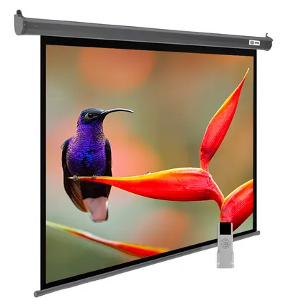 Экран для проектора Cactus CS-PSSME-220X138-DG, 138×220см, 16:10, моторизованный, тёмно-серый