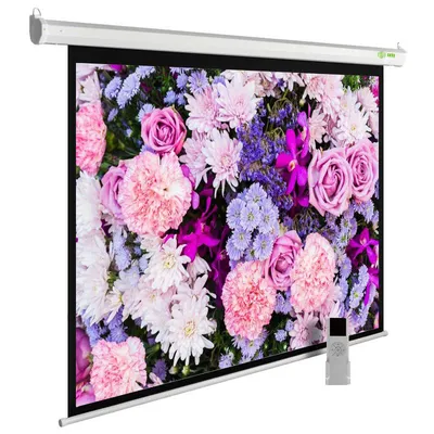 Экран Cactus CS-PSSME-240X150-WT, 111", 16:10, моторизованный