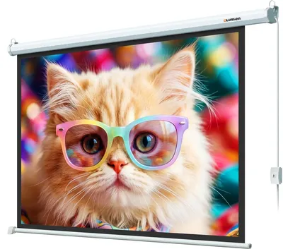Экран Lumien LEC-100119, 100", 16:9, Matte White, с электроприводом