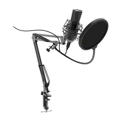 Микрофон Ritmix RDM-180, конденсаторный, черный (80000153)