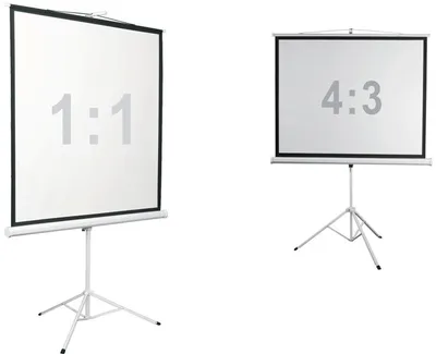 Экран на штативе Digis - Kontur-D, 206x209 см, (рабочая поверхность 200x200 см), 1:1, ручное управление, DSKD-1106