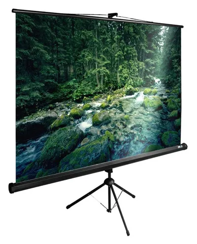 <108374> Экран для проектора Cactus 165x220см TriExpert CS-PSTE-220x165-BK 4:3 напольный рулонный черный [CS-PSTE-220X165-BK]