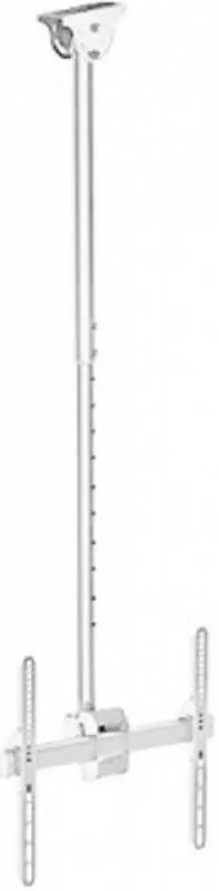 Кронштейн для телевизора Arm Media LCD-1700 белый, 26"-65" макс. 55 кг, потолочный, наклон