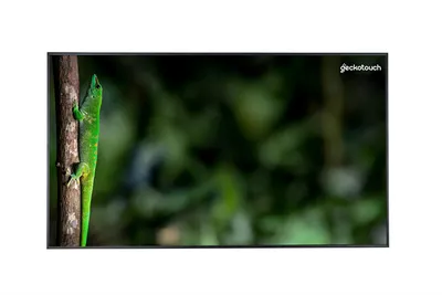 Дисплей ЖК профессиональный Geckotouch 55DCR, 55"