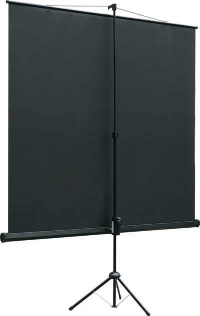 Экран проекционный Lumien Eco View LEV-100111, на штативе, 153x203см, 4:3