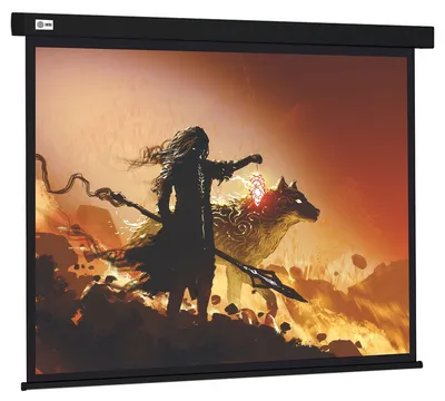 Экран Cactus CS-PSW-149X265-BK, 120", 16:9, рулонный, черный