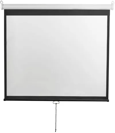 Экран настенно-потолочный Digis - Optimal-D, 229x308 см, 4:3, ручное управление, DSOD-4306