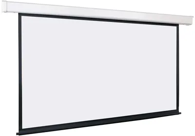 Экран с электроприводом Lumien LEC-100112, 132", 198×300см, Matte White