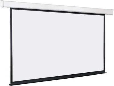 Экран с электроприводом Lumien LEC-100117, 135", Matte White, 16:10