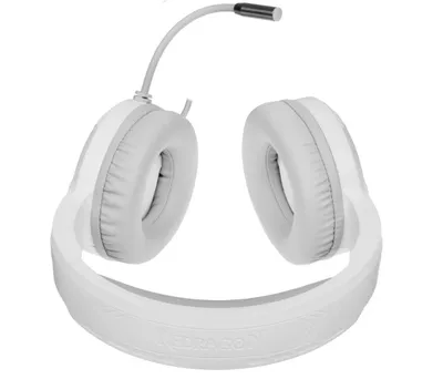 Гарнитура Defender 70708, проводная, USB/2×mini jack 3.5 мм, белый