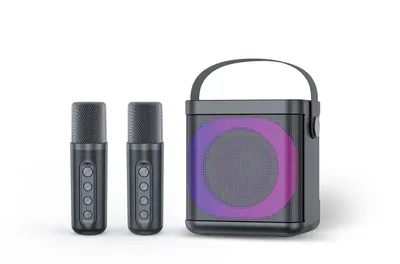 Караоке-система iconBIT TRS2406, Bluetooth, 10 Вт, 2 микрофона